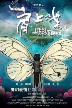 肩上蝶