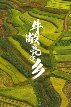 牛敞亮还乡