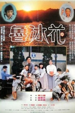 鲁冰花