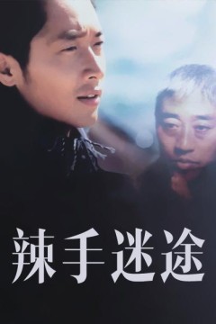 辣手迷途2001