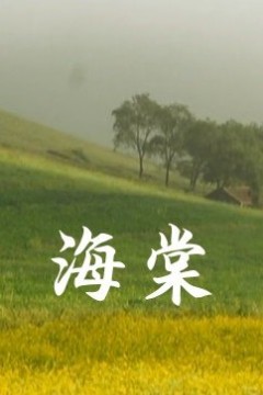海棠