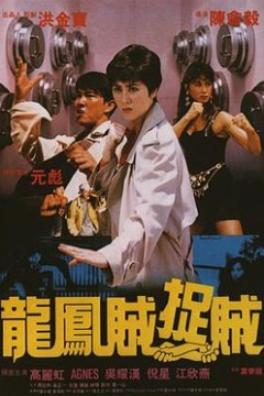 龙凤贼捉贼