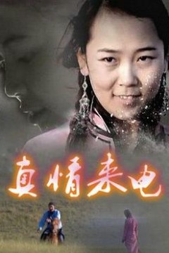 真情来电
