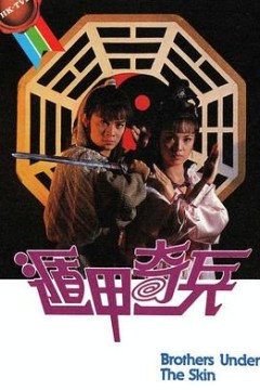 遁甲奇兵粤语