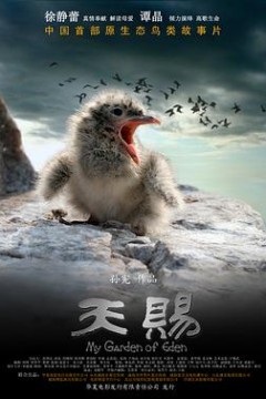 天赐