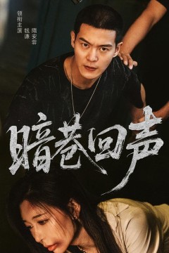 暗巷回声