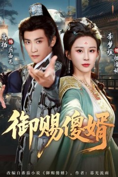 御赐S婿