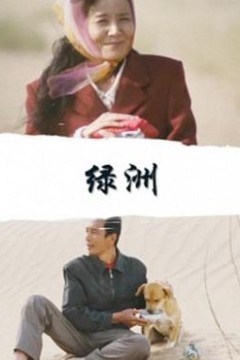 绿洲2010