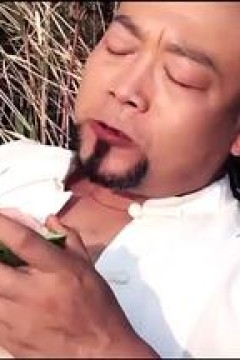 长城大侠