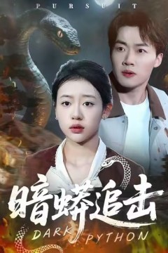 暗蟒追击.