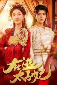 在逃太子妃