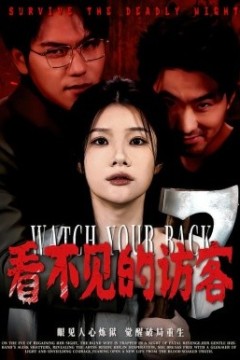 看不见的访客