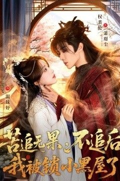 苦追无果，不追后我被锁小黑屋了