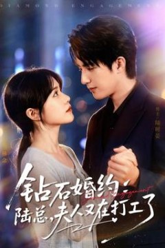 钻石婚约：陆总，夫人又在打工了