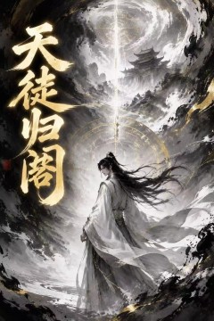天徒归阁