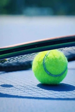 WTA500蒙特雷站女单第1轮：塔格尔VS斯塔罗杜布采娃