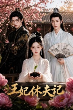 王妃休夫记
