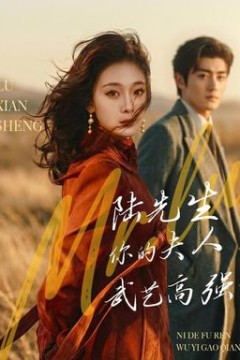 陆先生，你的夫人武艺高强