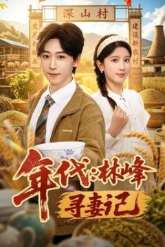 年代：林峰寻妻记