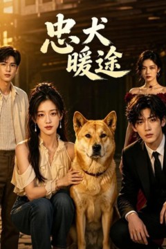 忠犬暖途