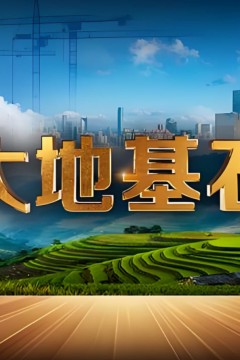 大地基石