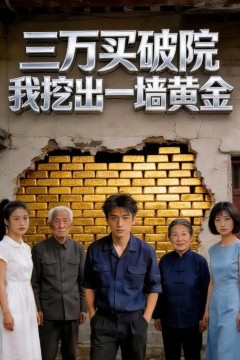 三万买破院，我挖出一墙黄金