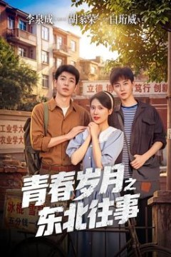 青春岁月之东北往事
