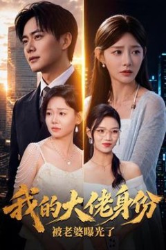 我的大佬身份被老婆曝光了