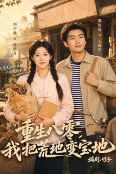 重生八零，我把荒地变宝地